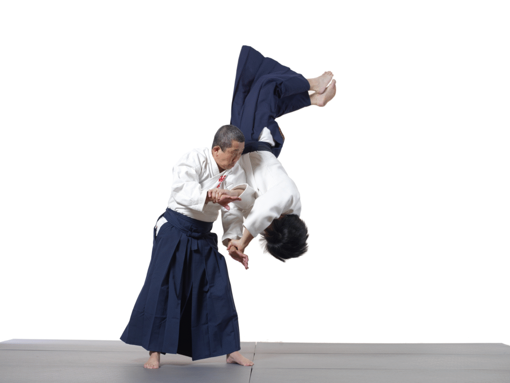 Principles of Aiki Jujutsu