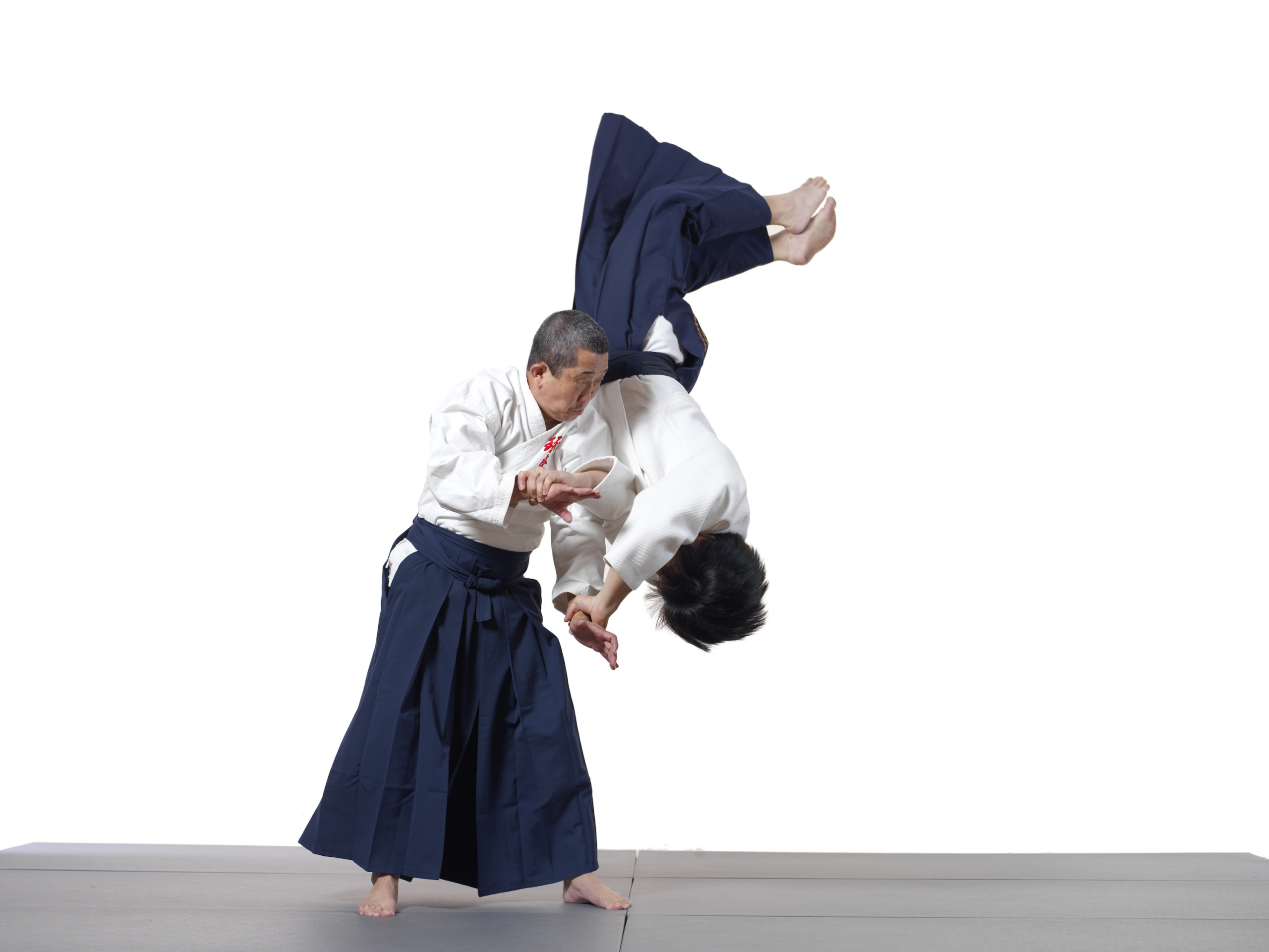 Aiki Jujutsu