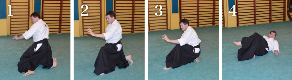 Principles of Aiki Jujutsu