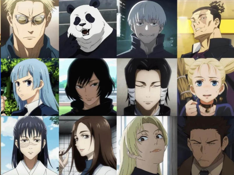 What are Jujutsu Sorcerers in Jujutsu Kaisen?