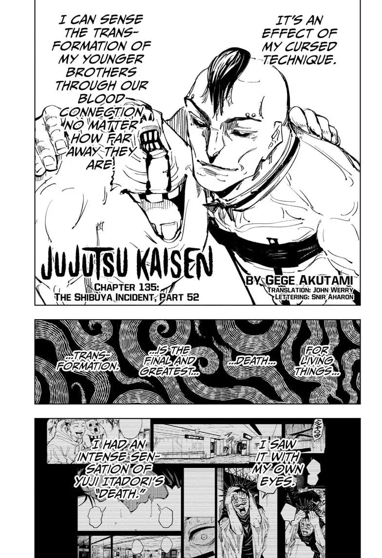 Jujutsu Kaisen, Chapter 135 1 1 163 1
