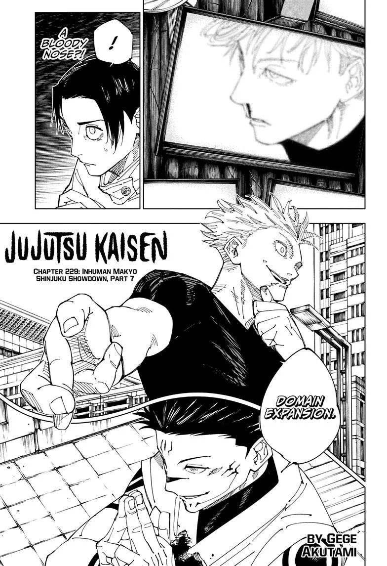 Jujutsu Kaisen, Chapter 229 1 1 243