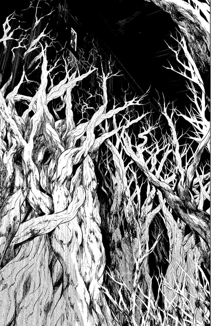 Jujutsu Kaisen, Chapter 144 13 13 186