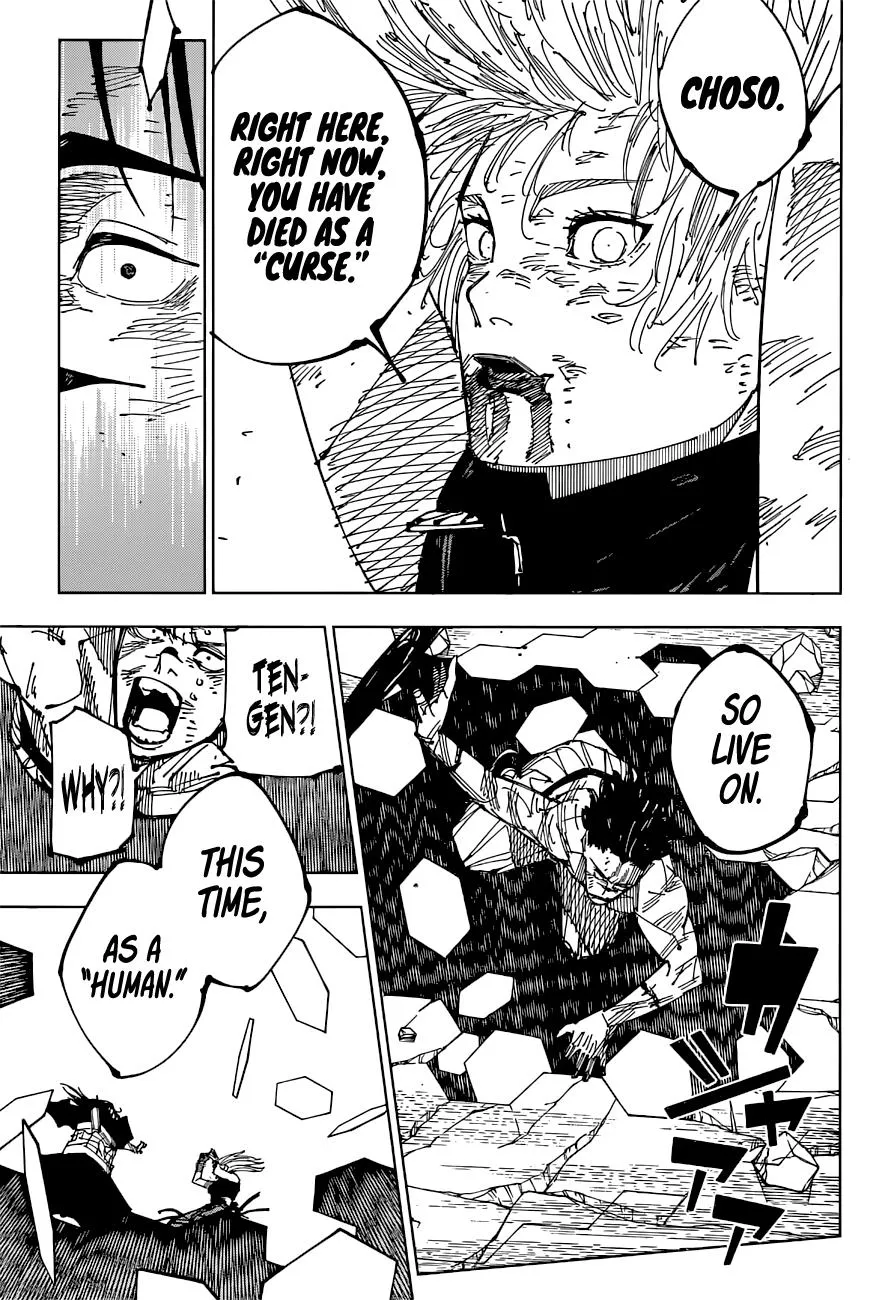 Jujutsu Kaisen, Chapter 208 8 8 203